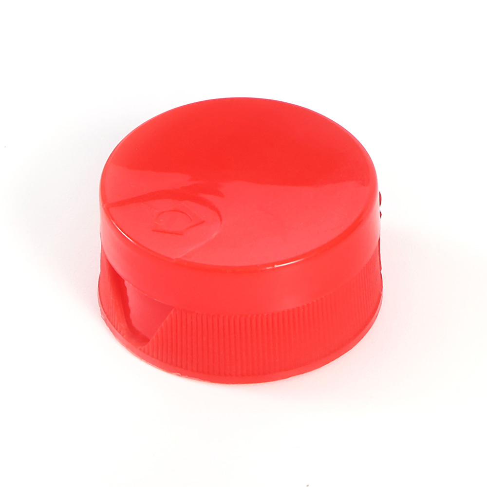 Flip top cap mould