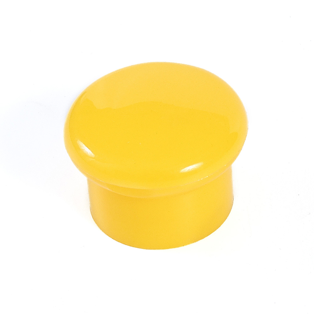 Flip top cap mould